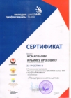 Сертификат участника II Регионального чемпионата WorldSkills Russia-2017