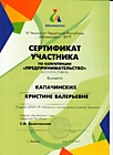 Сертификат участника III Чемпионата Удмуртской республики "Абилимпикс"-2019